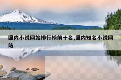 国内小说网站排行榜前十名,国内知名小说网站